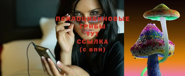 альфа пвп Беломорск