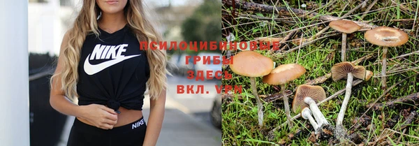 альфа пвп Беломорск